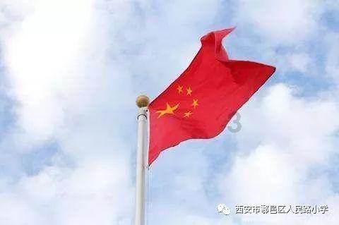 小犀牛救援